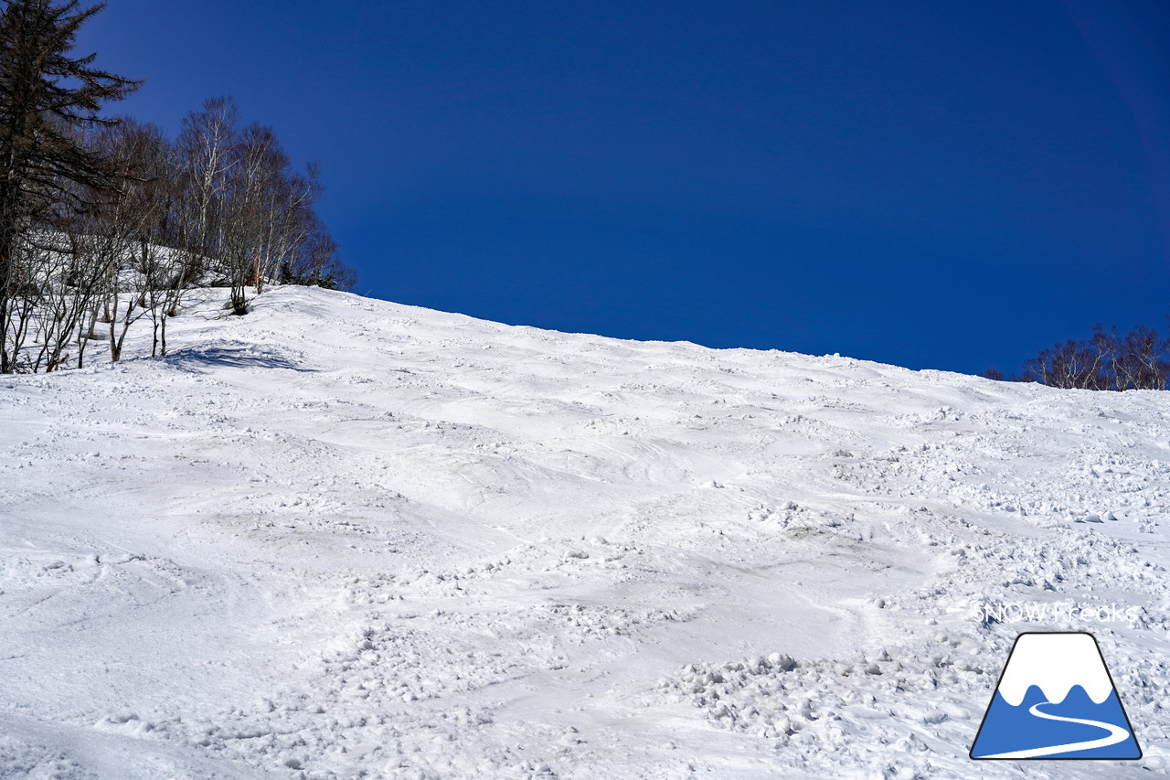 サッポロテイネ　真っ白な雪、澄んだ青空。ゴールデンウィーク２日目は、旭岳～羊蹄山まで見渡せる絶好の春スキー＆スノーボード日和に☆